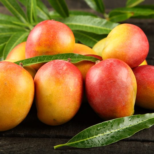 Mango